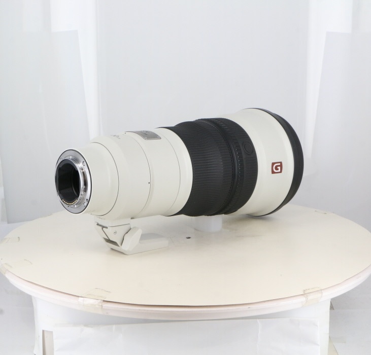 ソニー FE300/2.8 GM OSS