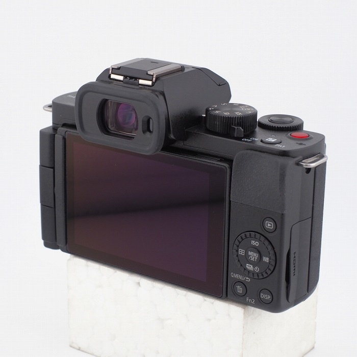 パナソニック DC-G100