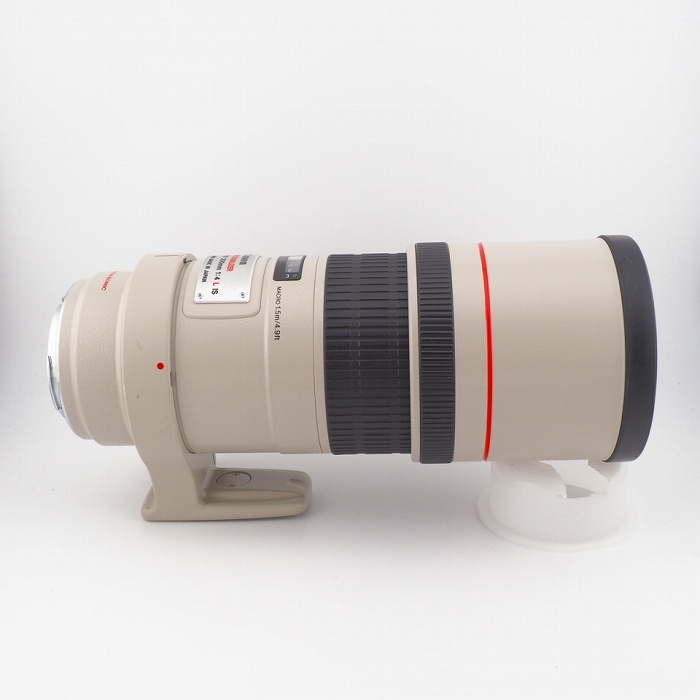 キヤノン EF300/4L IS USM