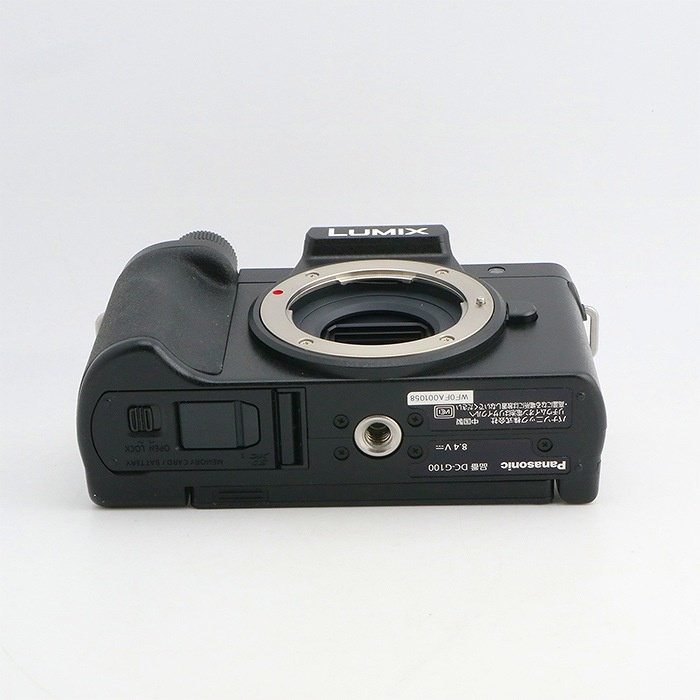 パナソニック DC-G100V