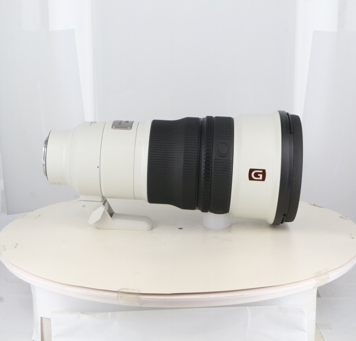 ソニー FE300/2.8 GM OSS