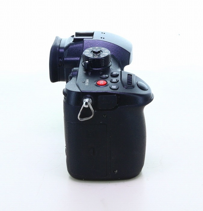 パナソニック GH5S(海外版)