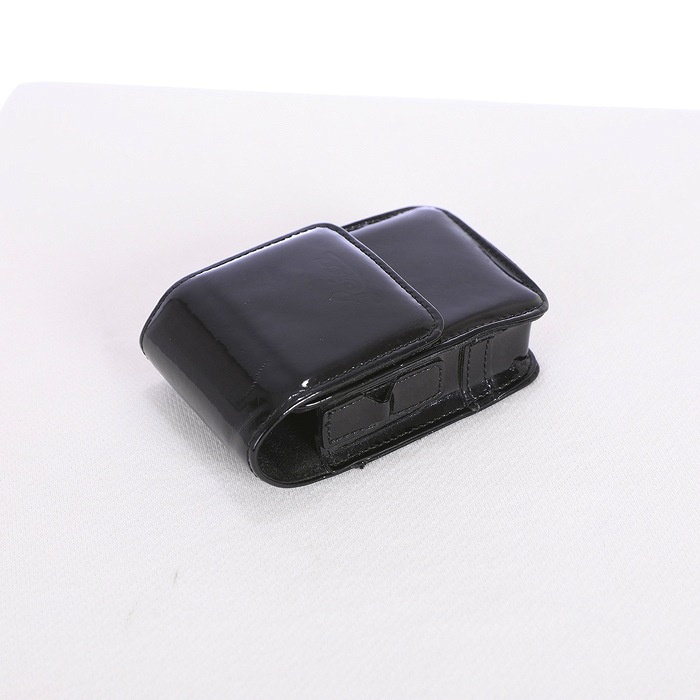 ライカ Leica C-LUX2用 エナメルケース