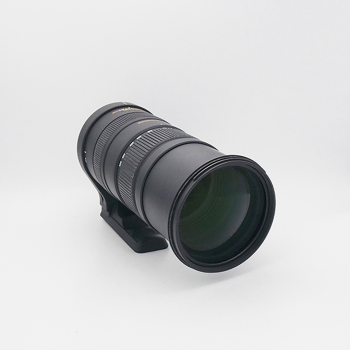 シグマ APO150-500/5-6.3 DG OS HSM NA ニコン用