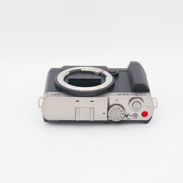 パナソニック LUMIX S9 DC-S9-S ダークシルバー+SmallRig L型グリップ