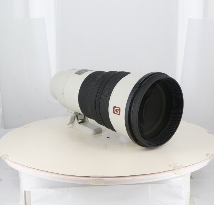 ソニー FE300/2.8 GM OSS