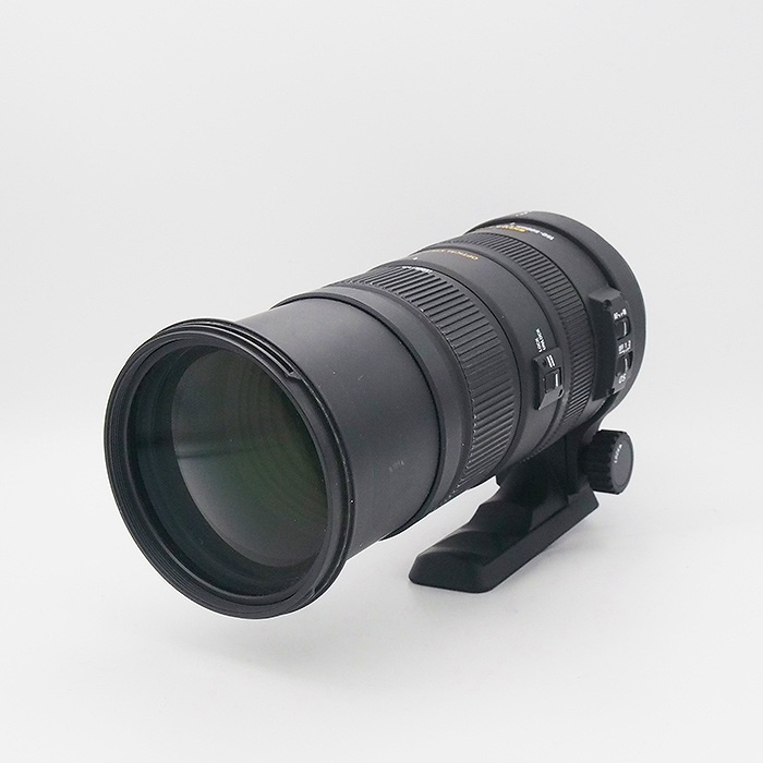 シグマ APO150-500/5-6.3 DG OS HSM NA ニコン用