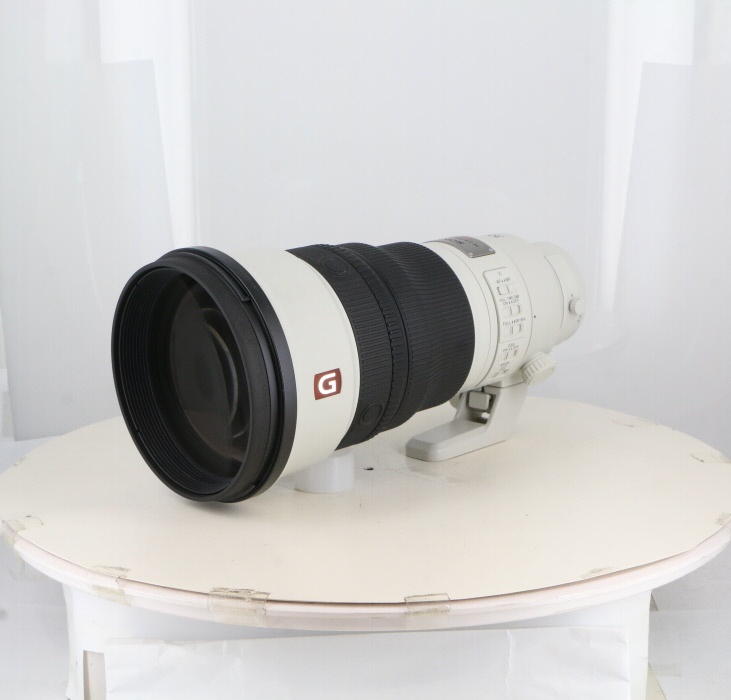 ソニー FE300/2.8 GM OSS