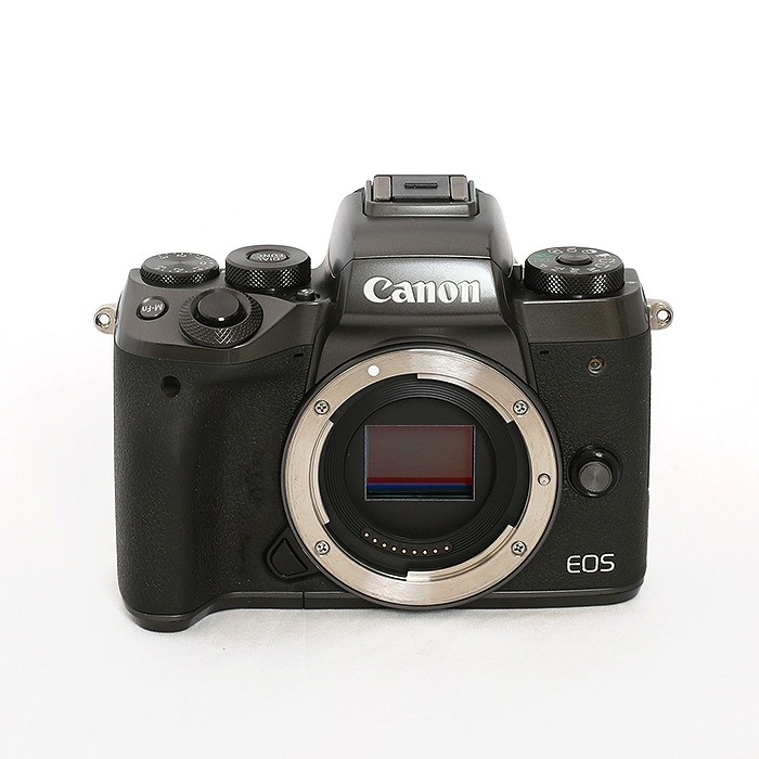 キヤノン EOS M5 ボディ