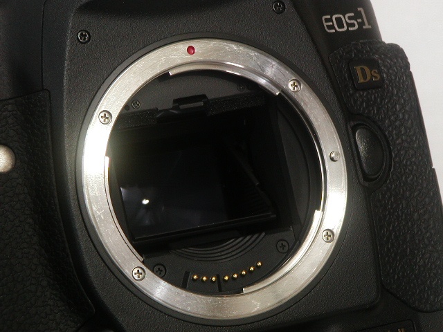 EOS-1Ds Mark II  Body