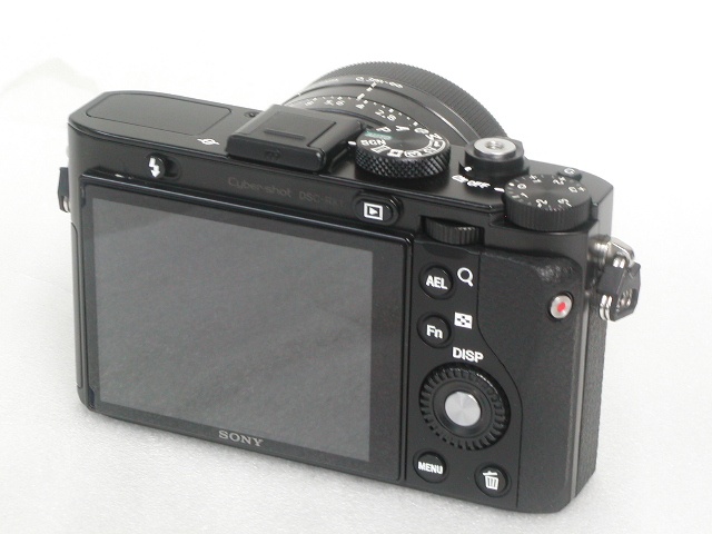 Cyber-shot  DSC-RX1