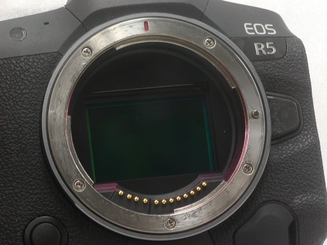 EOS R5 Body w/ 予備バッテリー