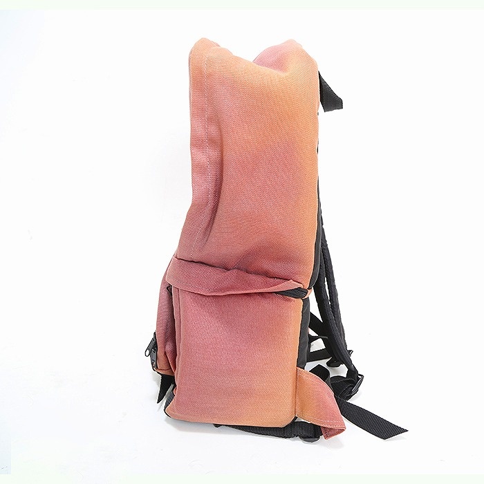 ケンコー AOSTA カメラリュック