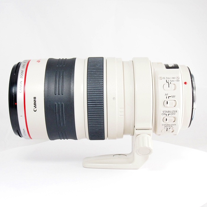 キヤノン EF28-300/3.5-5.6L IS USM