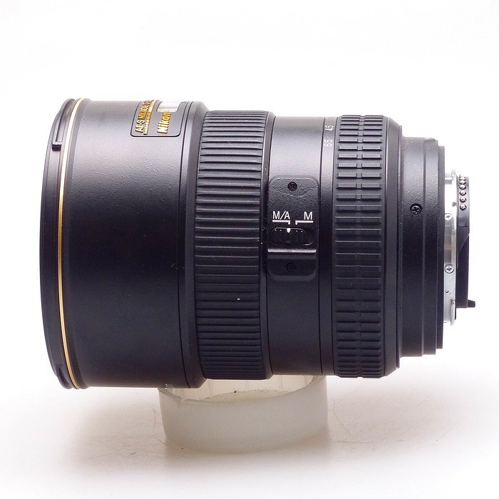 ニコン AF-S DX 17-55/F2.8G IF-ED