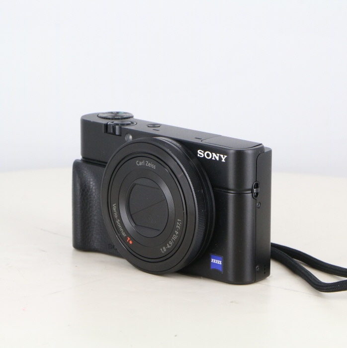 ソニー DSC-RX100