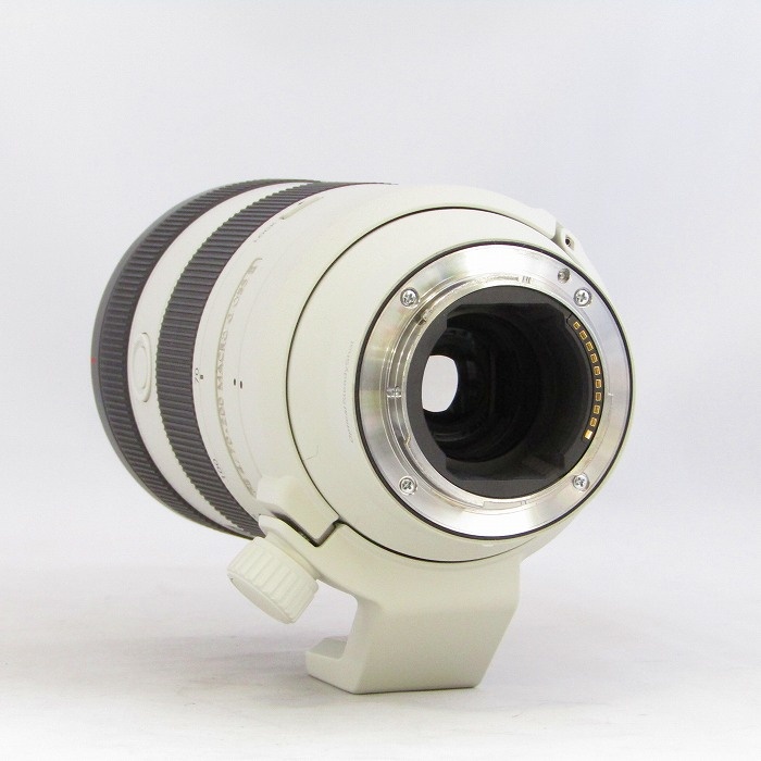 ソニー FE70-200/F4 MACRO G OSS II