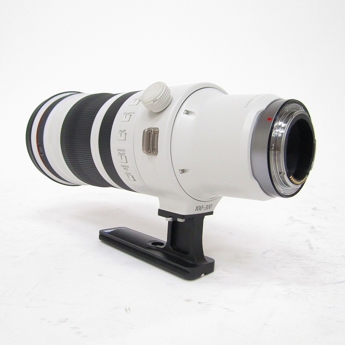 キヤノン RF100-300/F2.8L IS USM