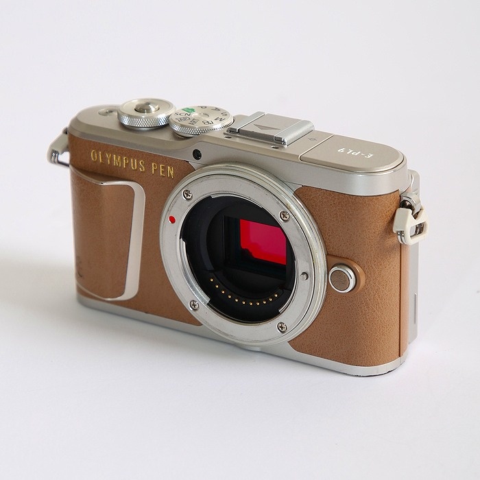 オリンパス E-PL9 ボデイ ブラウン