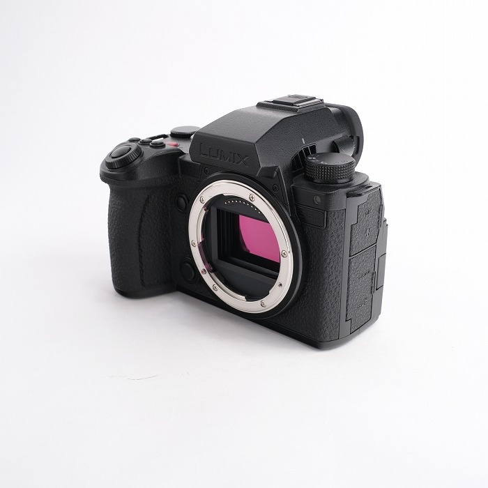 パナソニック DC-S5M2X