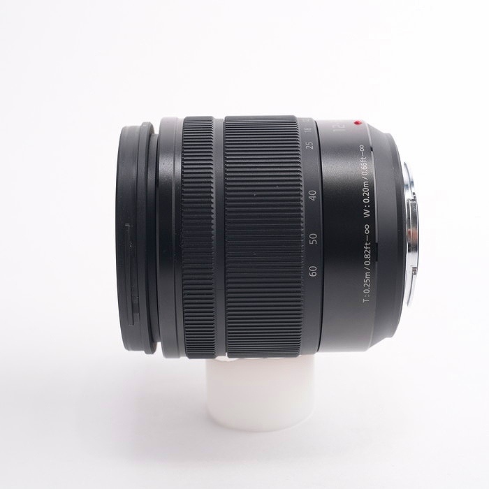 パナソニック LUMIX G VARIO 12-60/3.5-5.6 ASPH. (H-FS12060)