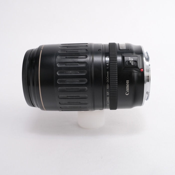 キヤノン EF100-300/4.5-5.6