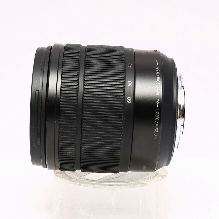 パナソニック G VARIO 12-60/3.5-5.6 ASPH.