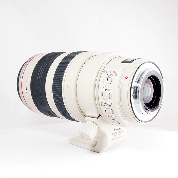 キヤノン EF28-300/3.5-5.6L IS USM
