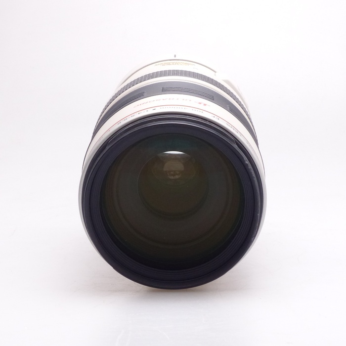 キヤノン EF 100-400/4.5-5.6L IS USM