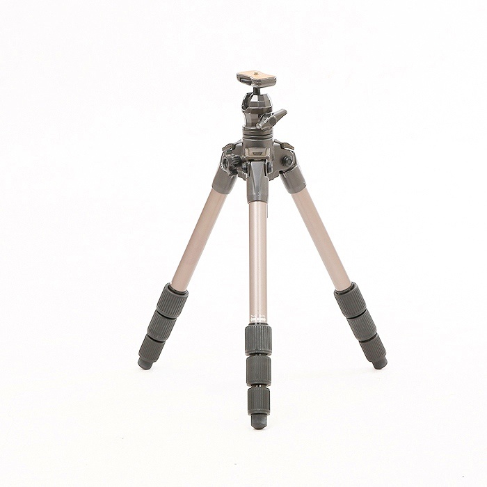 ベルボン カルマーニユ 540