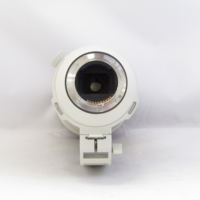 ソニー FE200-600/5.6-6.3 G OSS