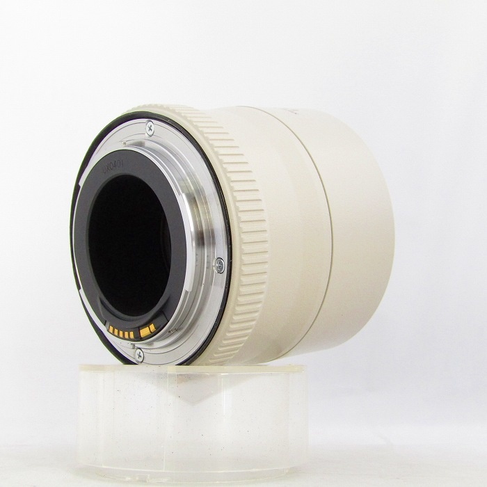 キヤノン エクステンダー EF2X(2)