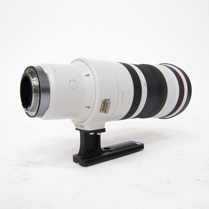 キヤノン RF100-300/F2.8L IS USM