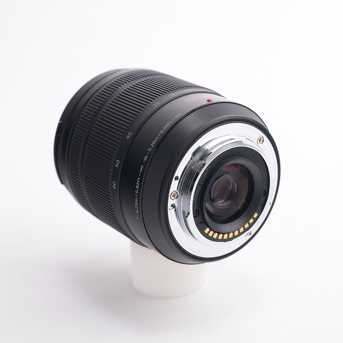 パナソニック LUMIX G VARIO 12-60/3.5-5.6 ASPH. (H-FS12060)