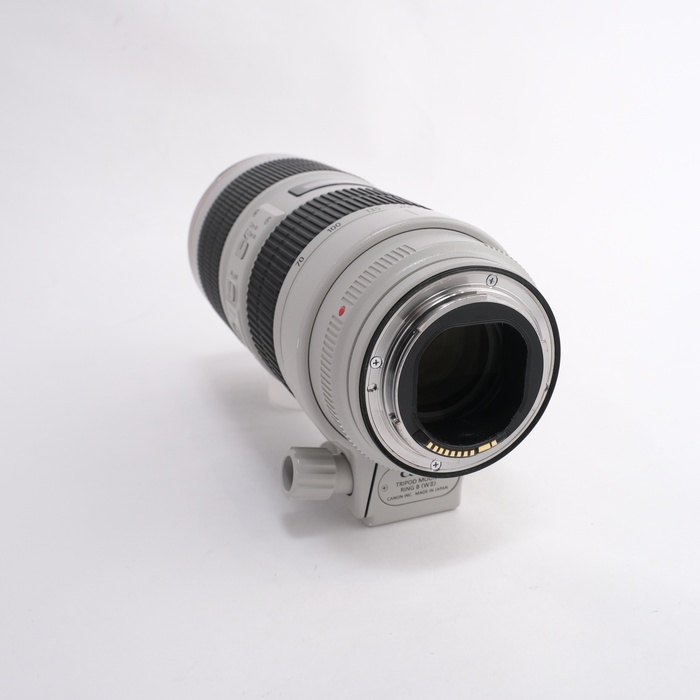キヤノン EF70-200/2.8L IS III USM