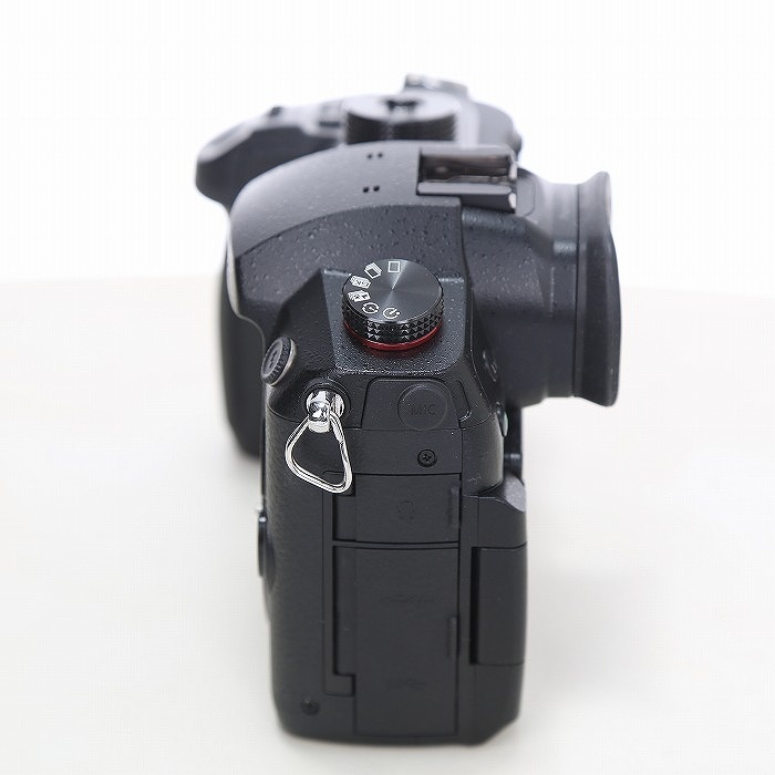 パナソニック DC-GH5M2