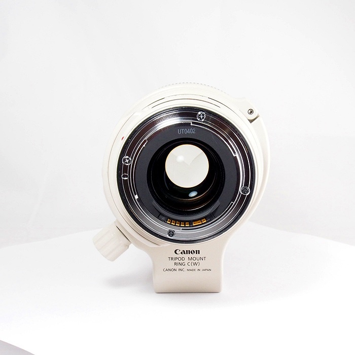 キヤノン EF28-300/3.5-5.6L IS USM