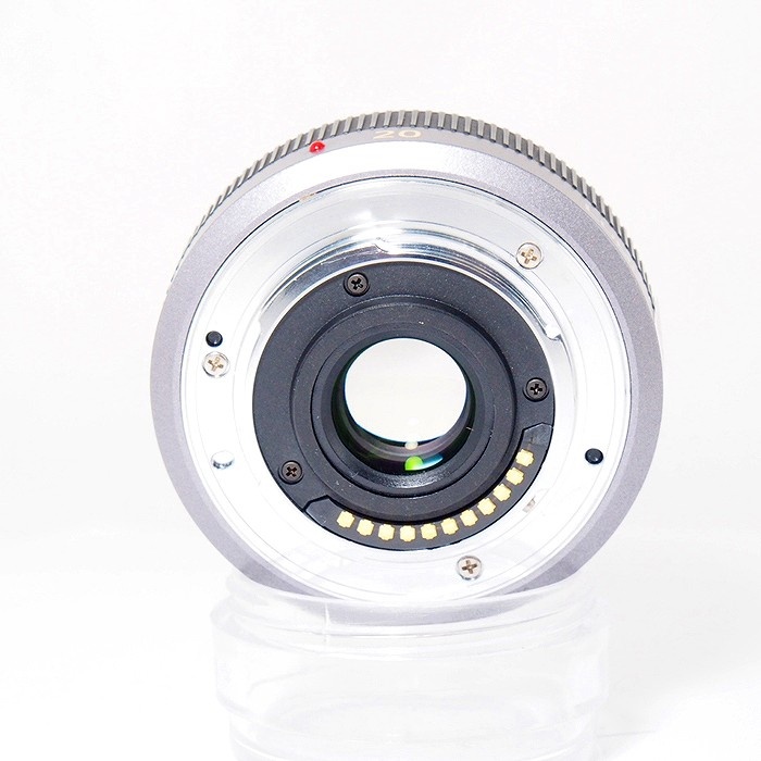 パナソニック G20/1.7(H-H020)