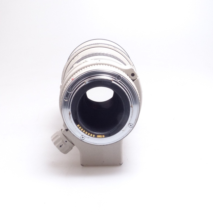 キヤノン EF 300/4L USM