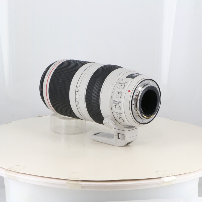 キヤノン EF100-400/4.5-5.6L IS II USM