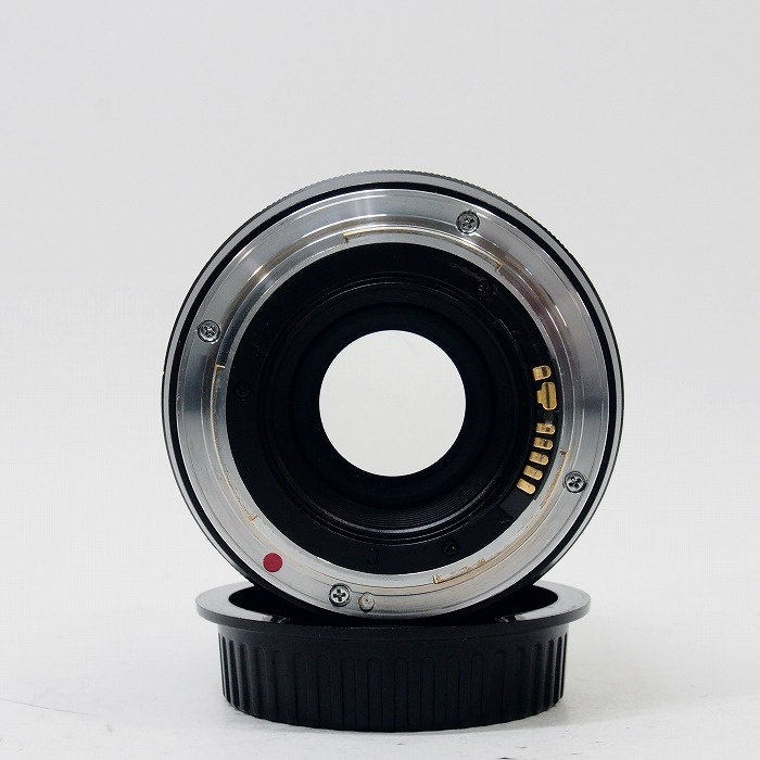 コシナ カールツアイス ディスタゴン T* 2/35 ZE