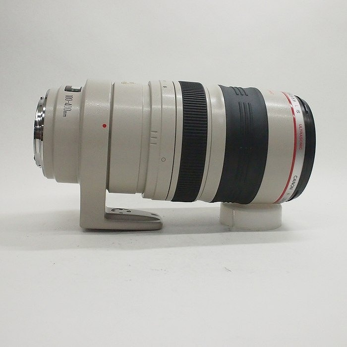 キヤノン EF100-400/F4.5-5.6L IS USM