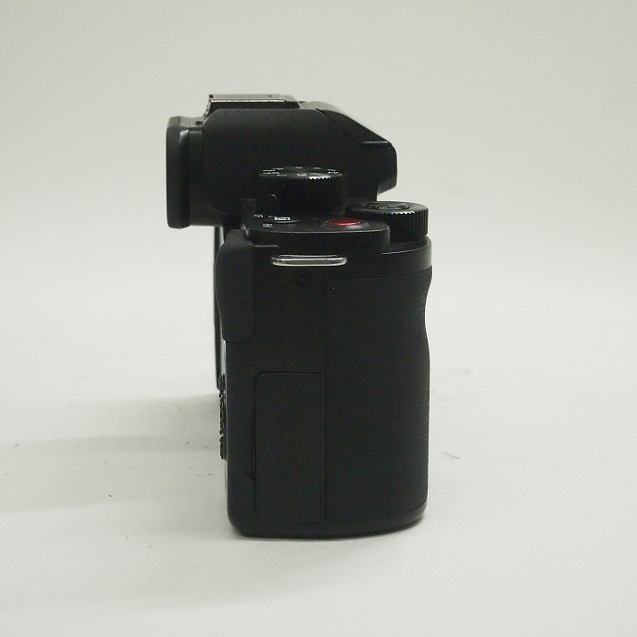 パナソニック DC-G100