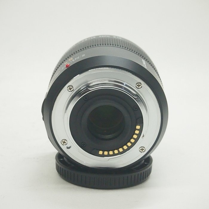 パナソニック LEICA DG マクロエルマリート 45/2.8 ASPH(H-ES045)