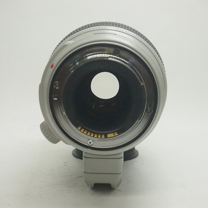 キヤノン EF100-400/4.5-5.6L IS II USM