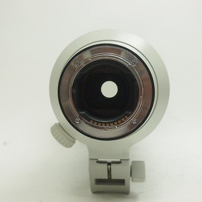 ソニー FE100-400/4.5-5.6 GM OSS