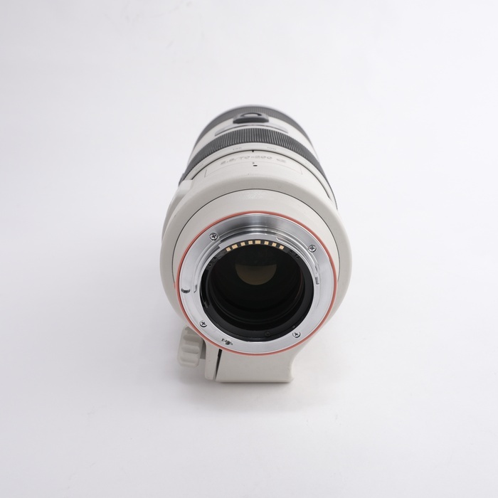 ソニー 70-200/2.8 G