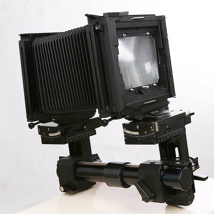 ジナー ジナーP 30周年