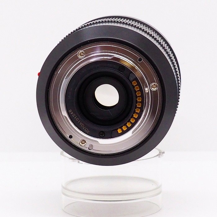 パナソニック DG Vario-Elmarit 12-60/2.8-4 H-ES12060