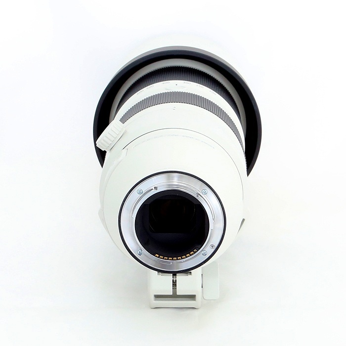 ソニー ソニー FE200-600/F5.6-6.3 G OSS